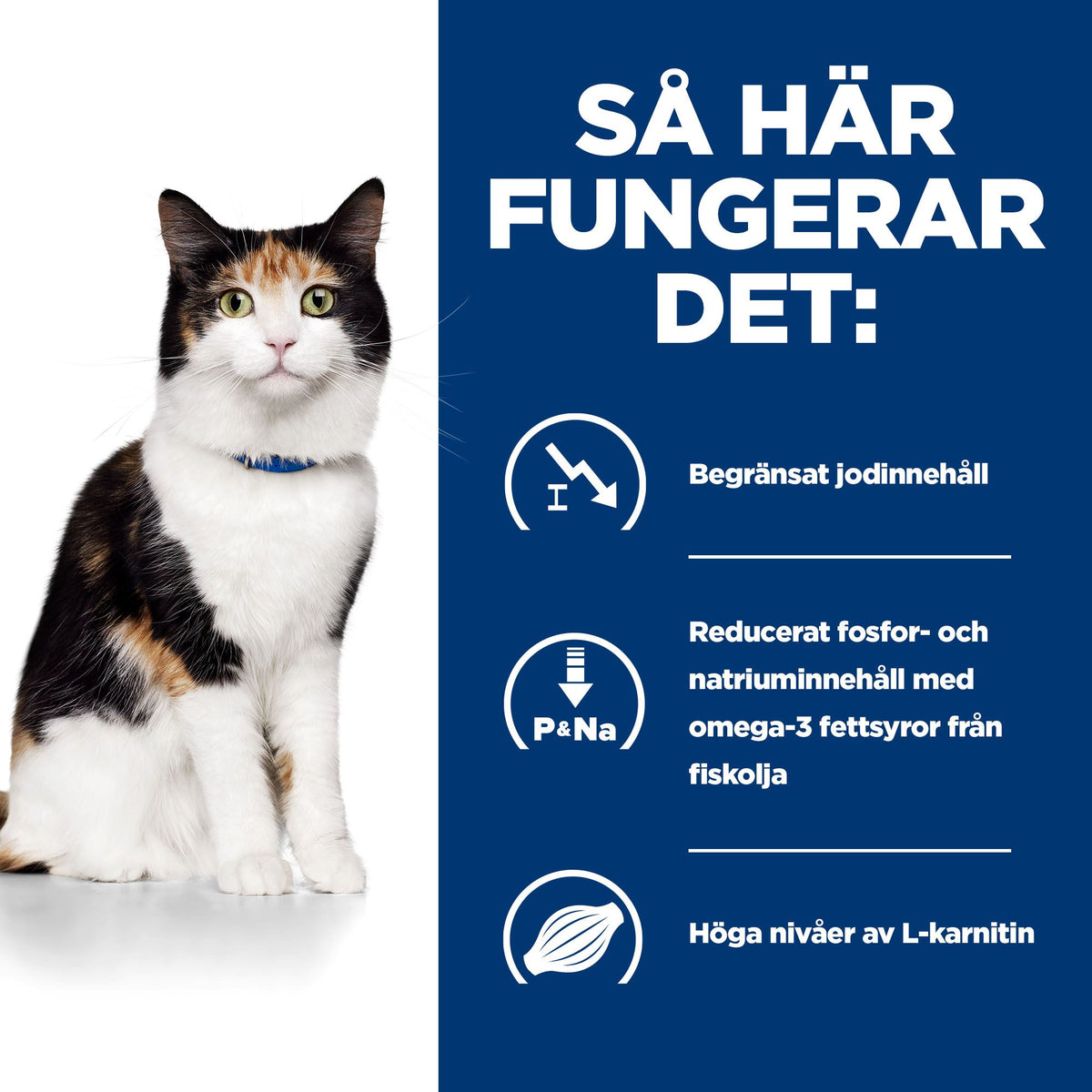Hill's Prescription Diet y/d kattfoder