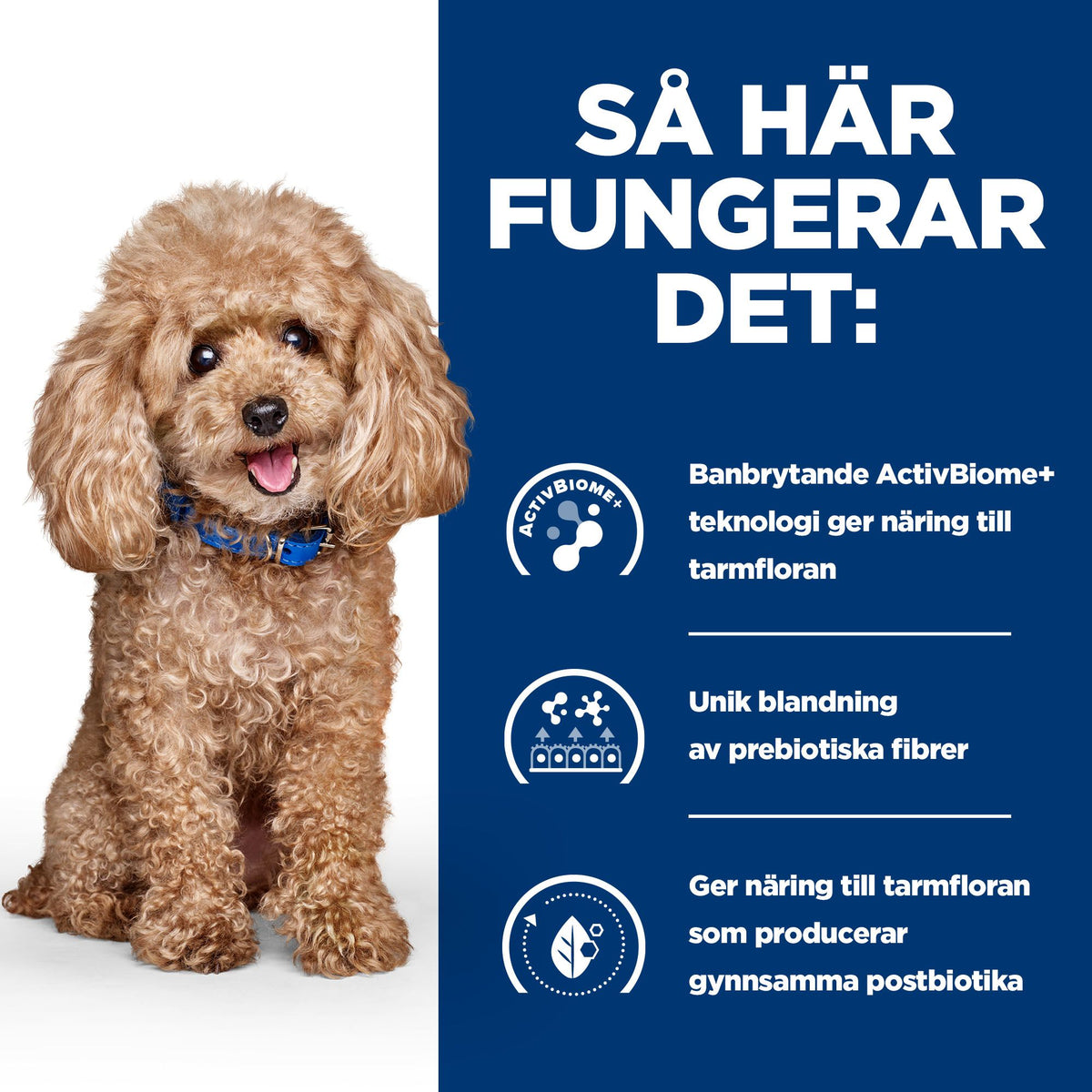 Hill's Prescription Diet Gastrointestinal Biome Adult Hundfoder