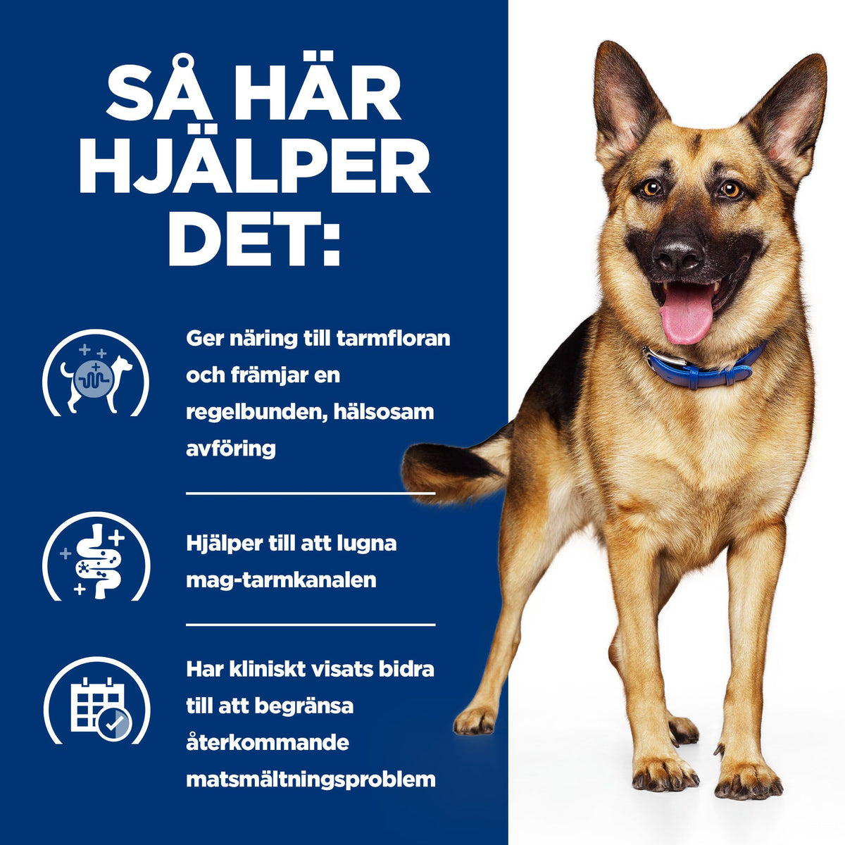 Hill's Prescription Diet Gastrointestinal Biome hundfoder