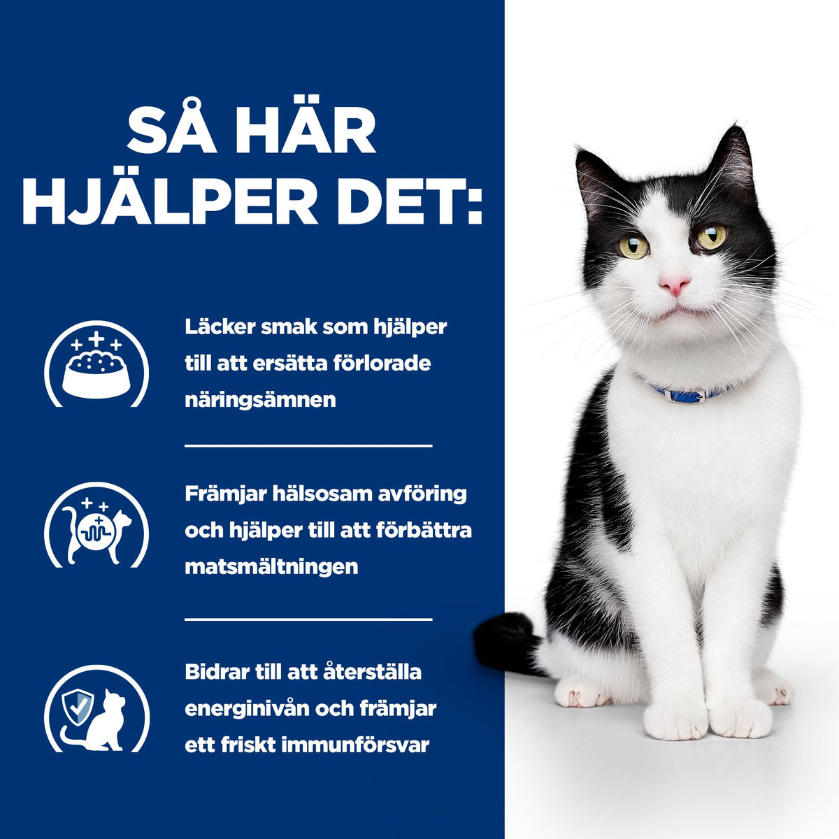 Hill's Prescription Diet i/d kattfoder