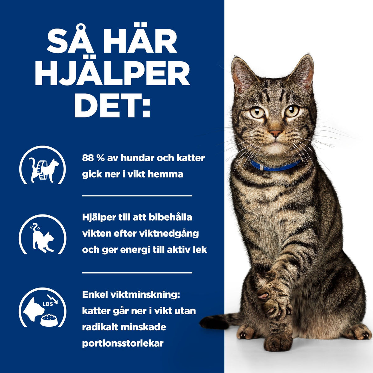 Hill's Prescription Diet Metabolic kattfoder stew med smak av kyckling & grönsaker