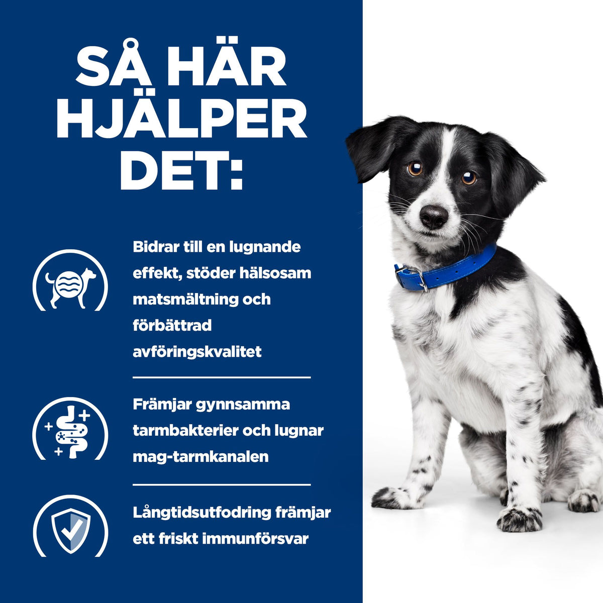 Hill's Prescription Diet i/d Stress Adult Hundfoder Kyckling & Grönsaker