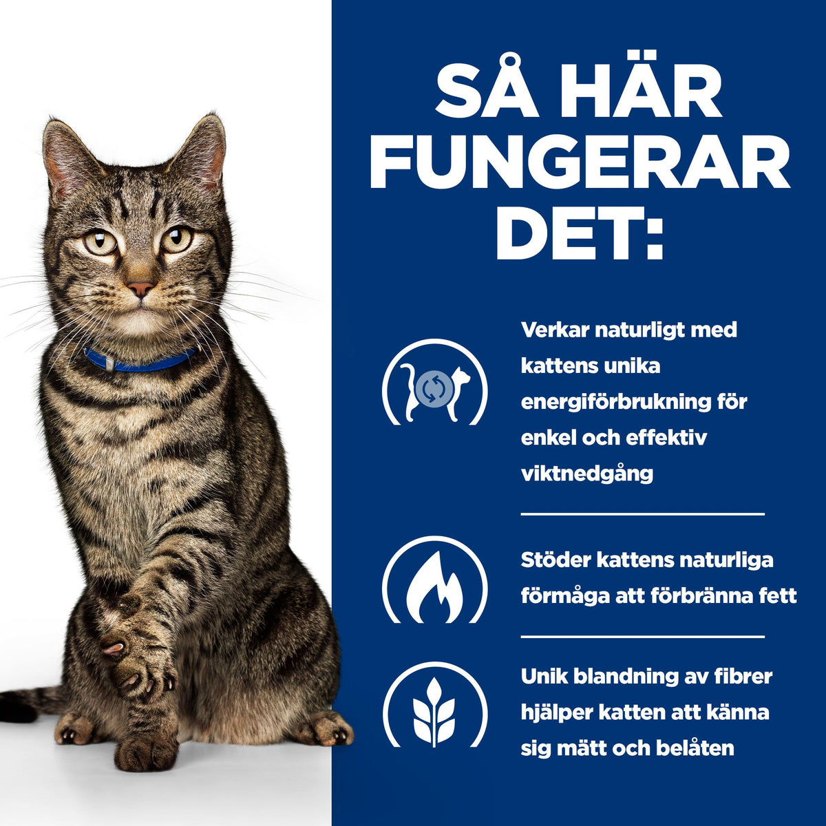 Hill's Prescription Diet Metabolic kattfoder stew med smak av kyckling & grönsaker