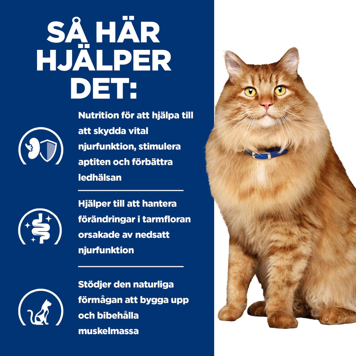 Hill's Prescription Diet k/d + Mobility kattfoder