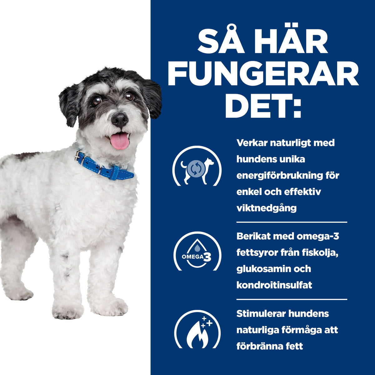 Hill's Prescription Diet Metabolic + Mobility Mini Dry hundfoder med kyckling