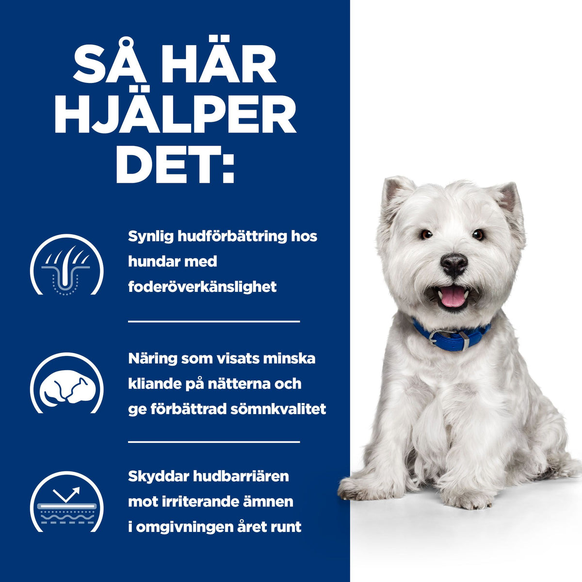 Hill's Prescription Diet Derm Complete Adult Hundfoder