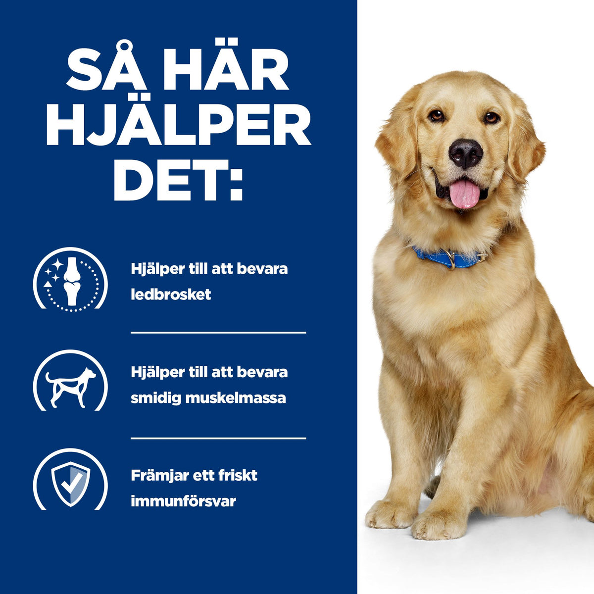Hill's Prescription Diet j/d Reduced Calorie Adult Hundfoder med Kyckling