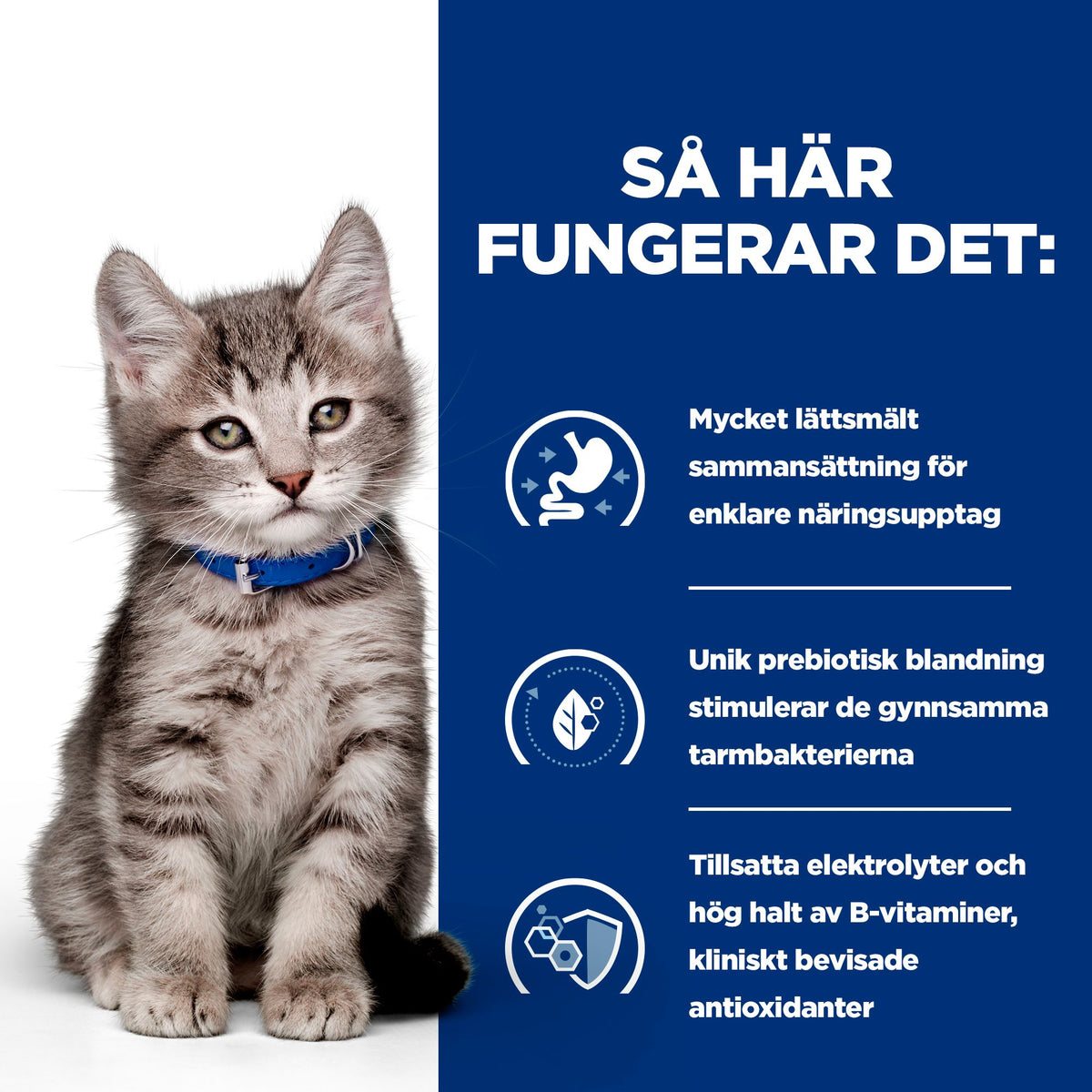 Hill's Prescription Diet i/d kattungefoder