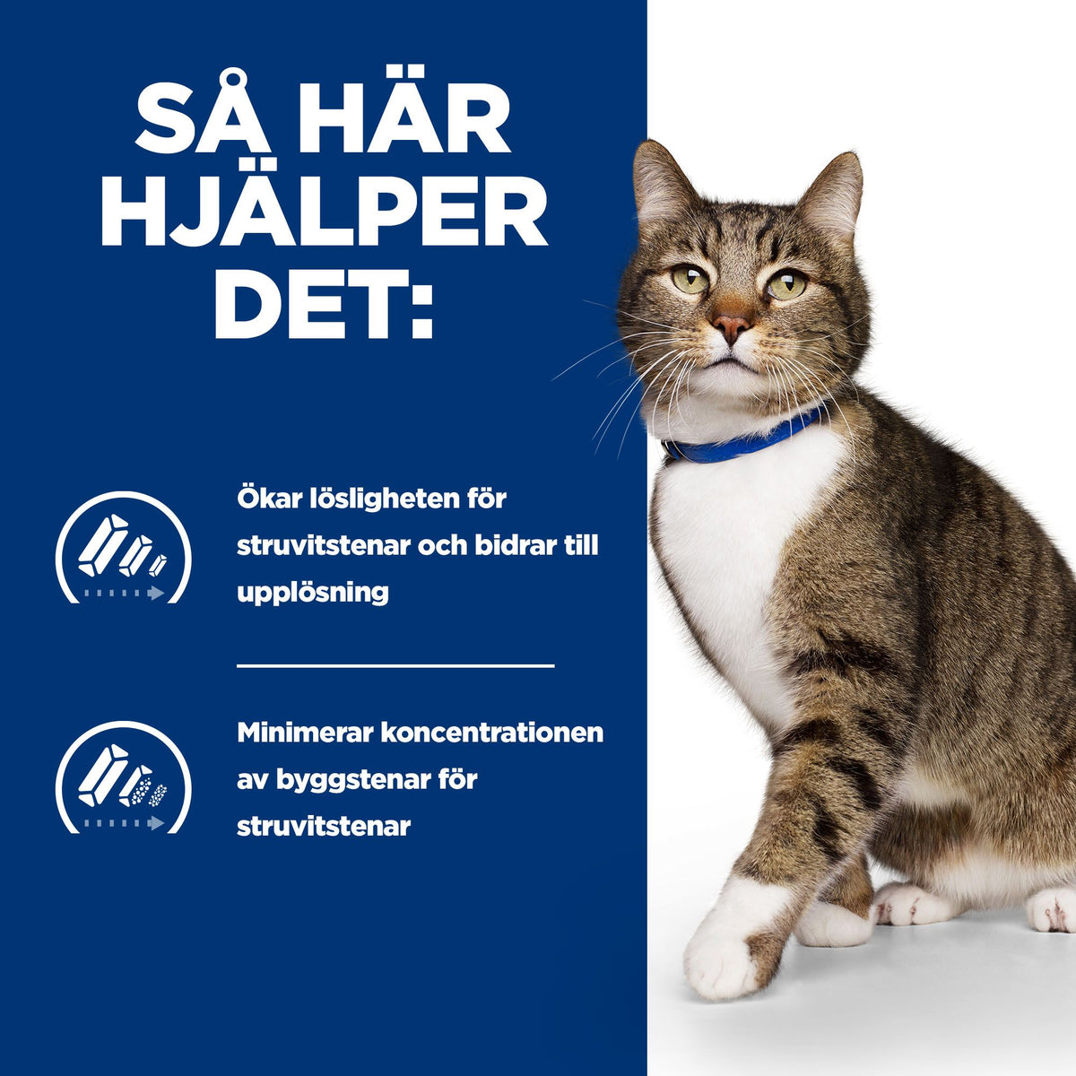 Hill's Prescription Diet s/d Adult Kattfoder