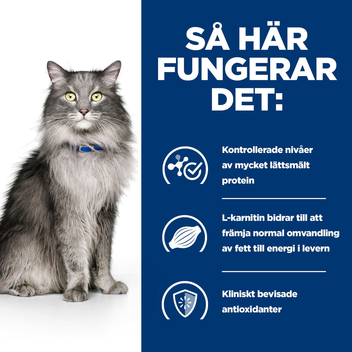 Hill's Prescription Diet l/d Adult Kattfoder