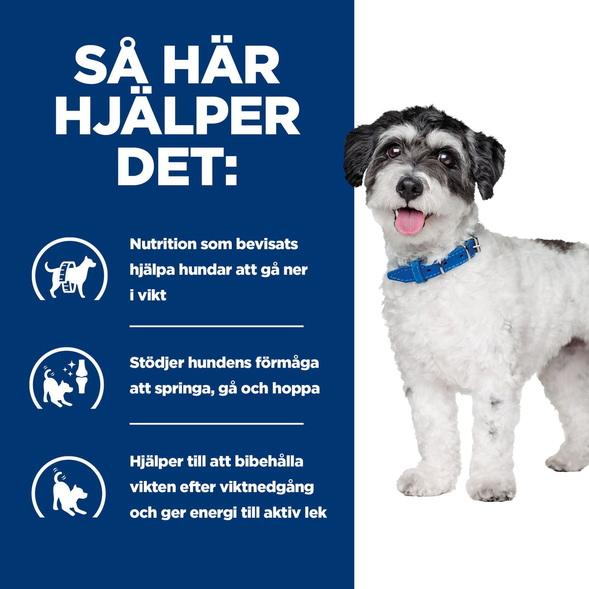 Hill's Prescription Diet Metabolic + Mobility Mini Dry hundfoder med kyckling