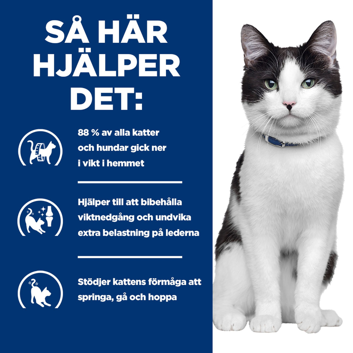 Hill's Prescription Diet Metabolic + Mobility kattfoder med kyckling