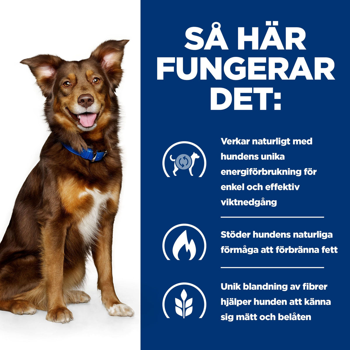 Hill's Prescription Diet Metabolic hundfoder