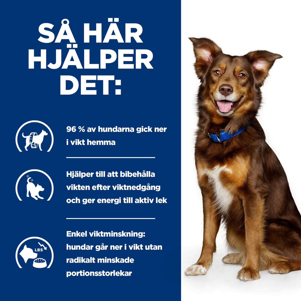 Hill's Prescription Diet Metabolic hundfoder stew med smak av kyckling & grönsaker