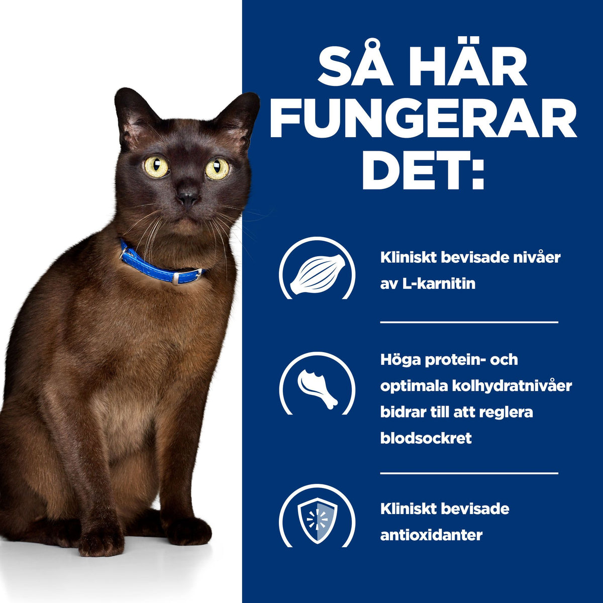 Hill's Prescription Diet m/d kattfoder