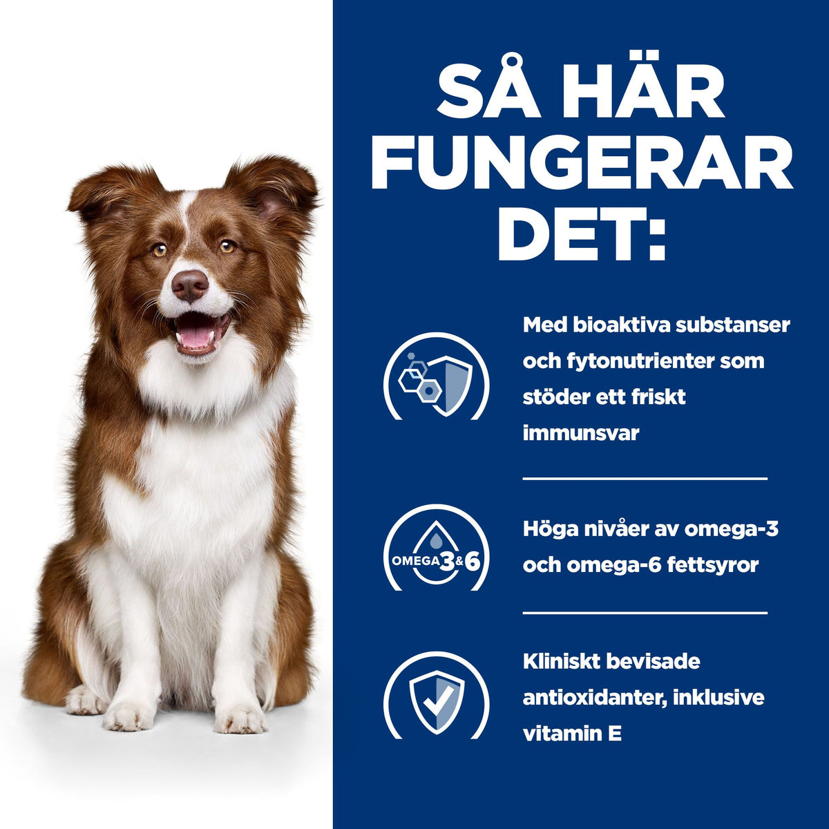 Hill's Prescription Diet Derm Defense Adult Medium Hundfoder