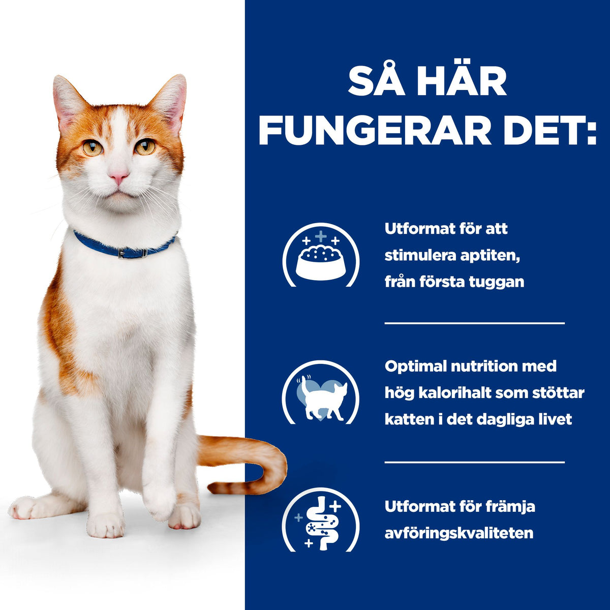 Hill's Prescription Diet On-Care kattfoder
