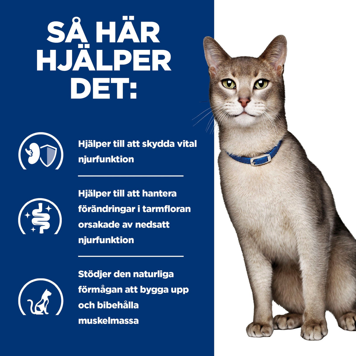 Hill's Prescription Diet k/d kattfoder med kyckling