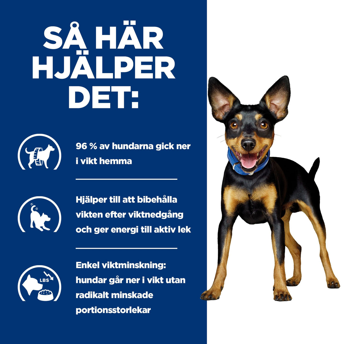 Hill's Prescription Diet Metabolic Mini hundfoder med kyckling