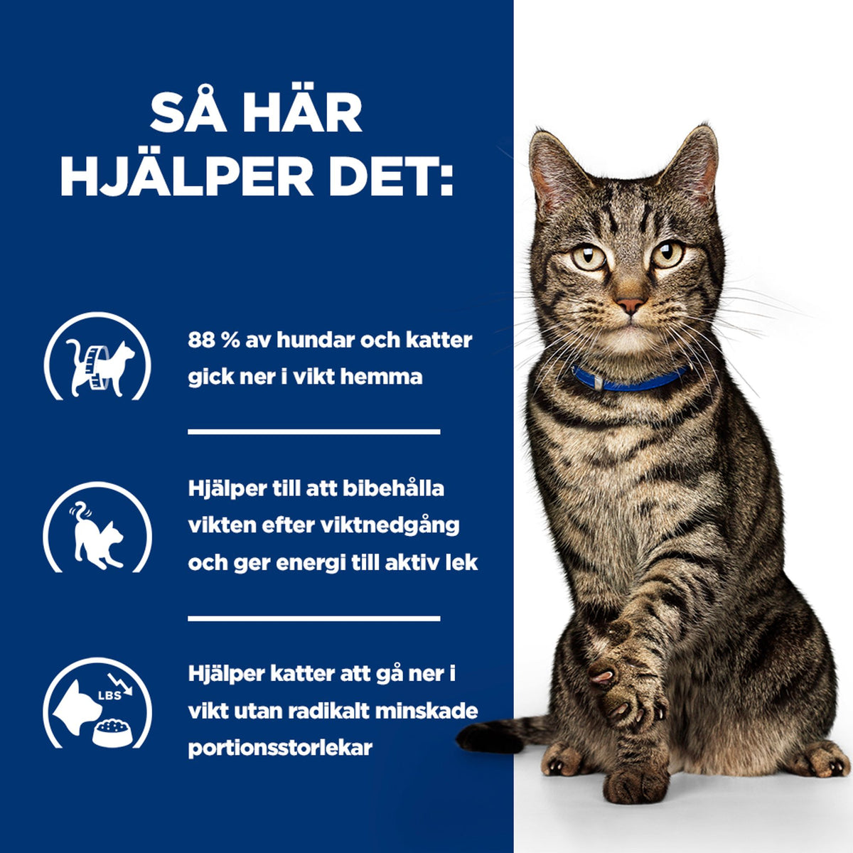 Hill's Prescription Diet Metabolic kattfoder med kyckling