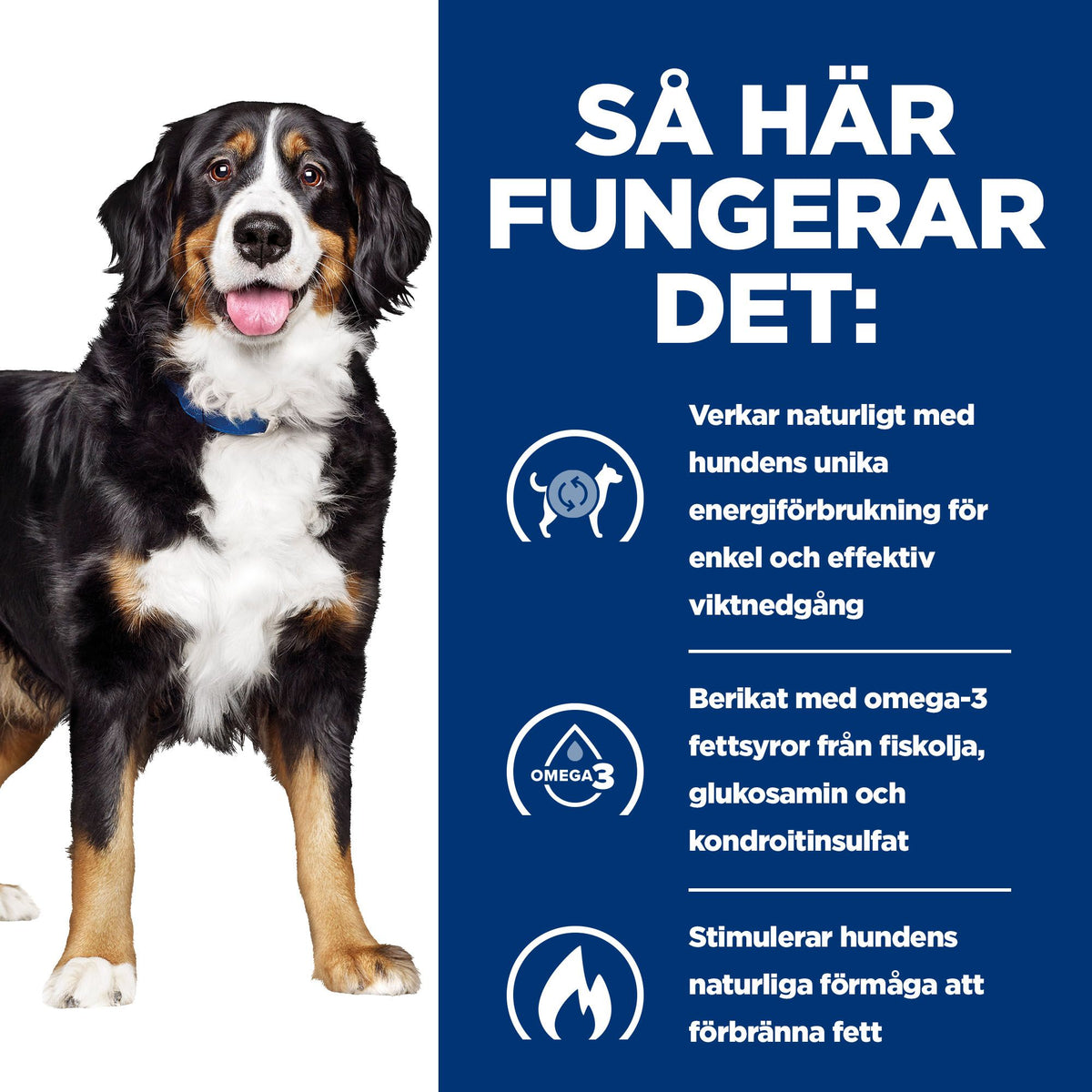 Hill's Prescription Diet Metabolic + Mobility hundfoder