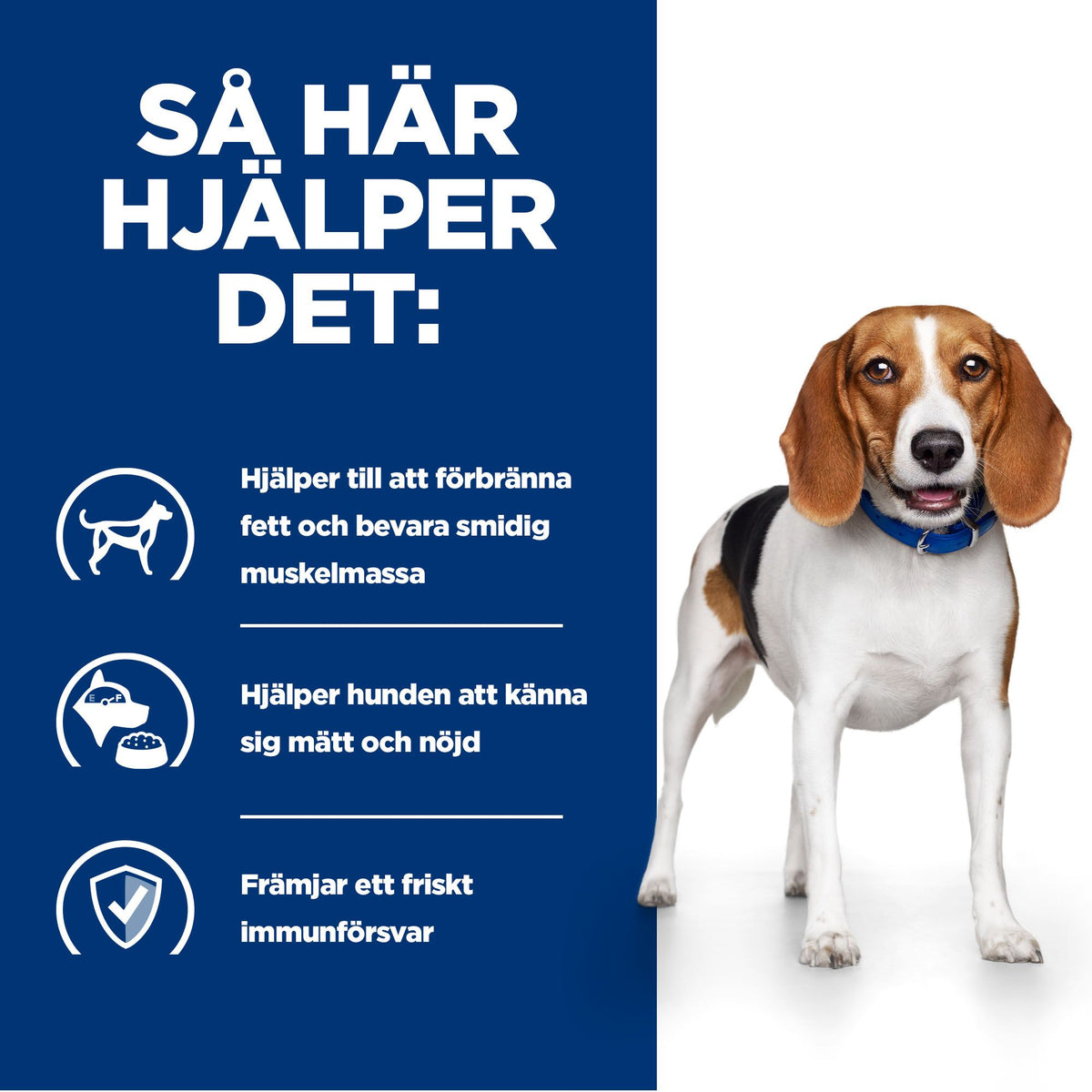 Hill's Prescription Diet r/d hundfoder original