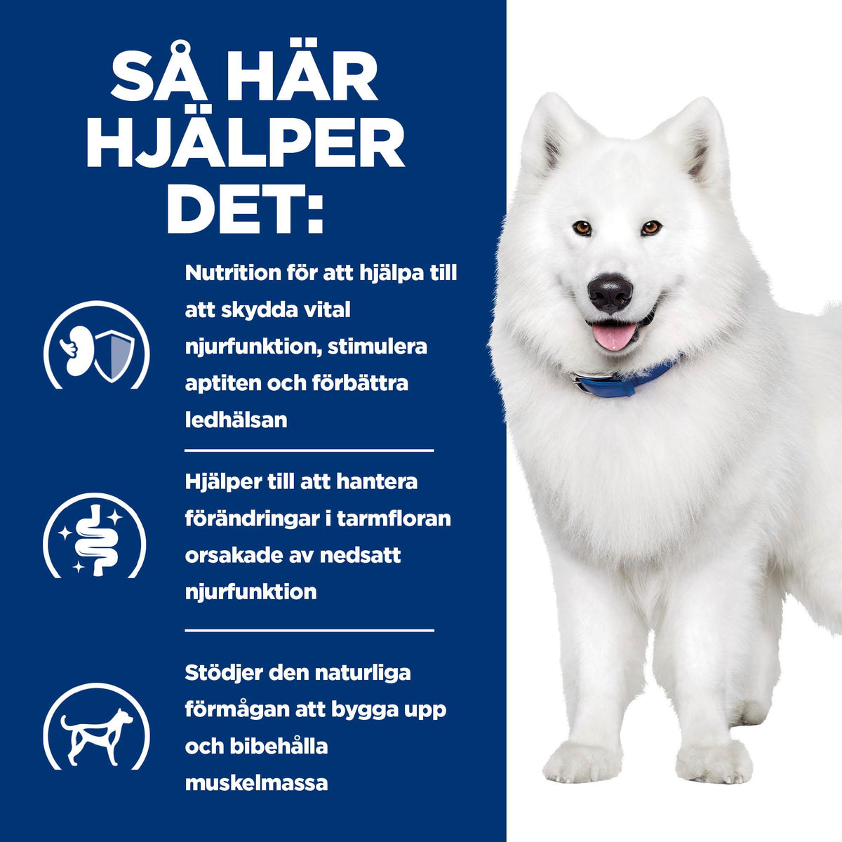 Hill's Prescription Diet k/d + Mobility hundfoder