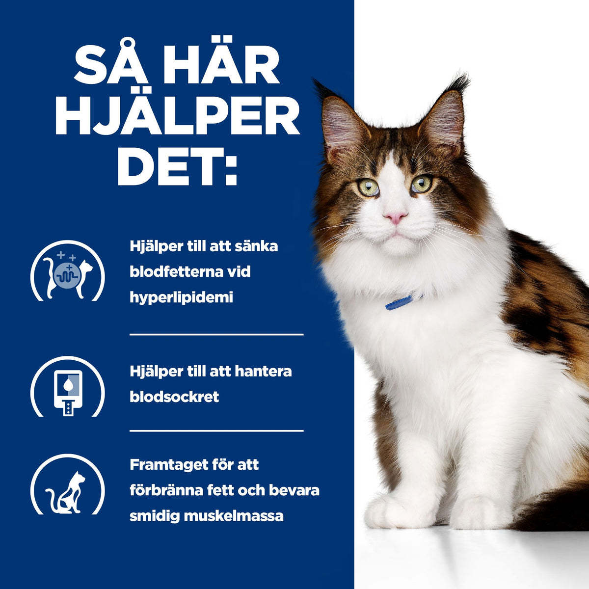 Hill's Prescription Diet w/d Adult Kattfoder Kyckling