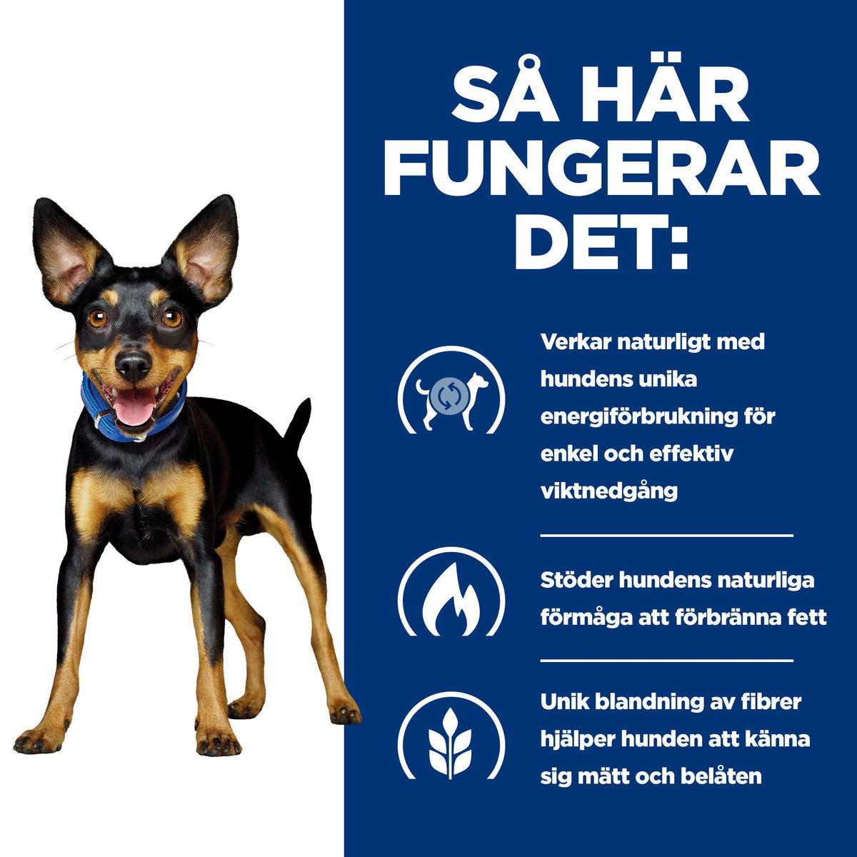 Hill's Prescription Diet Metabolic Mini hundfoder med kyckling