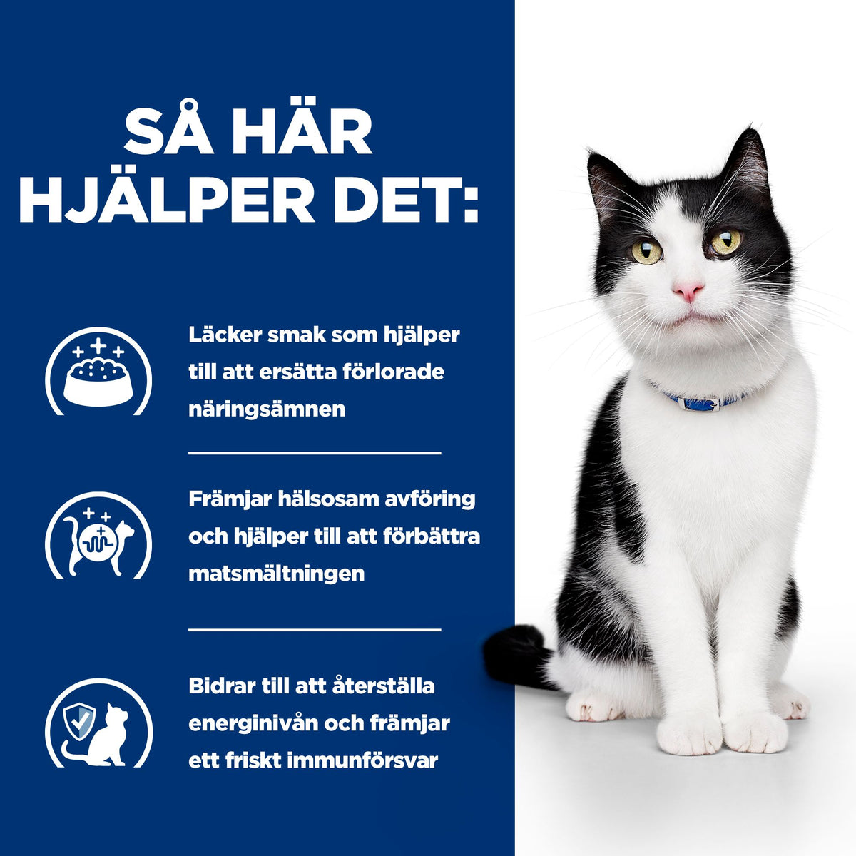 Hill's Prescription Diet i/d kattfoder