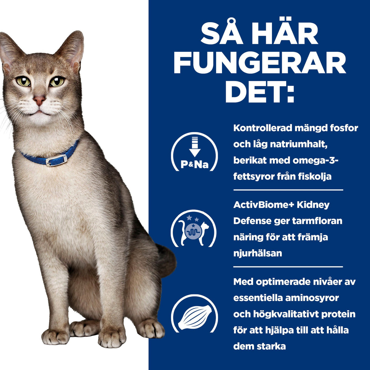 Hill's Prescription Diet k/d kattfoder stew med kyckling & tillsatta grönsaker