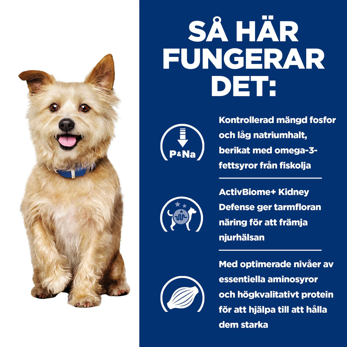 Hill's Prescription Diet k/d hundfoder