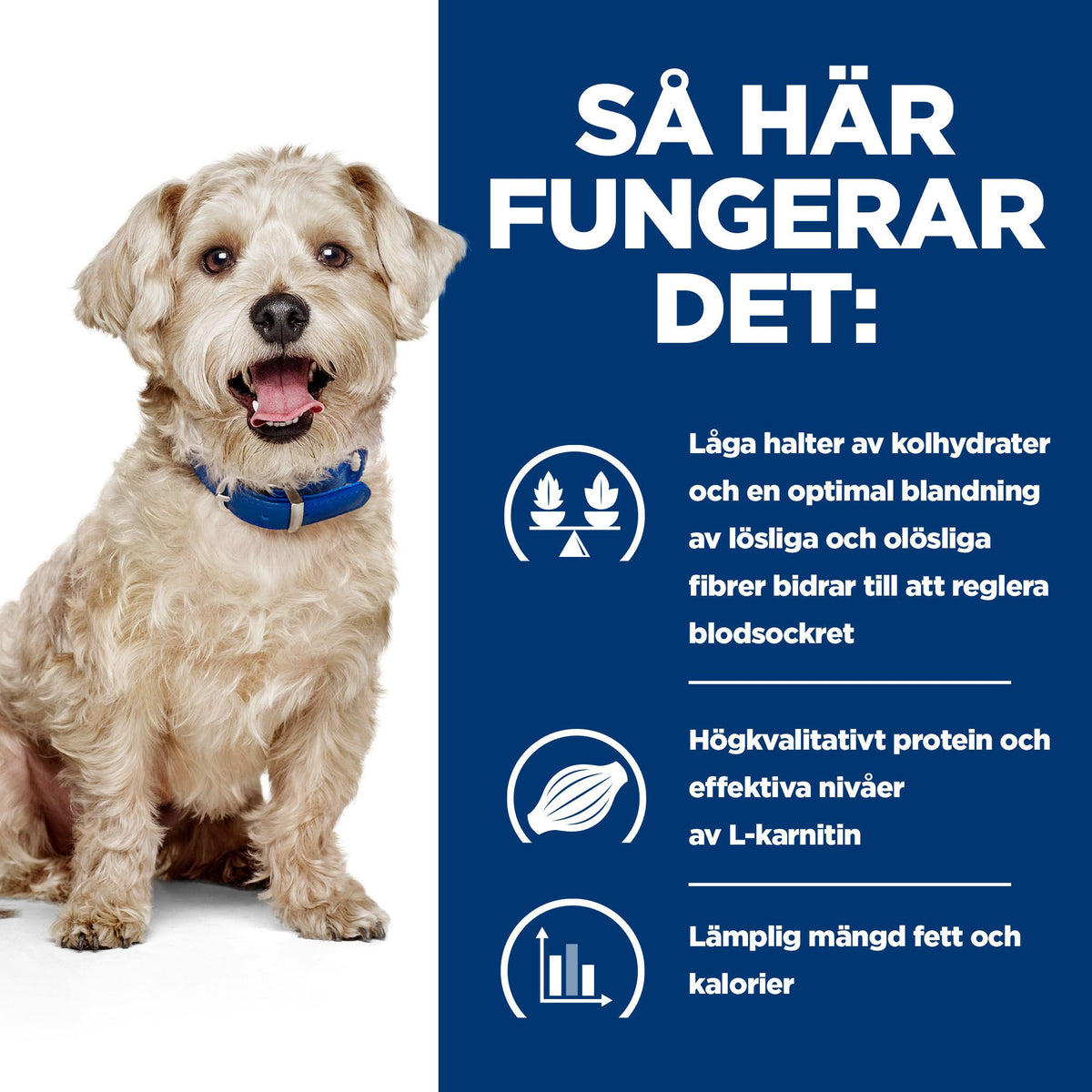 Hill's Prescription Diet w/d torrfoder för hund