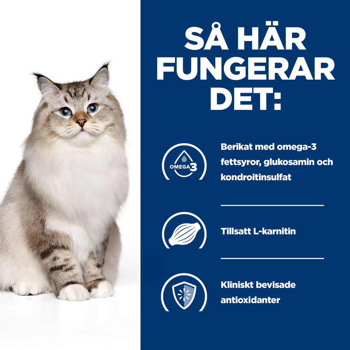 Hill's Prescription Diet j/d kattfoder med kyckling