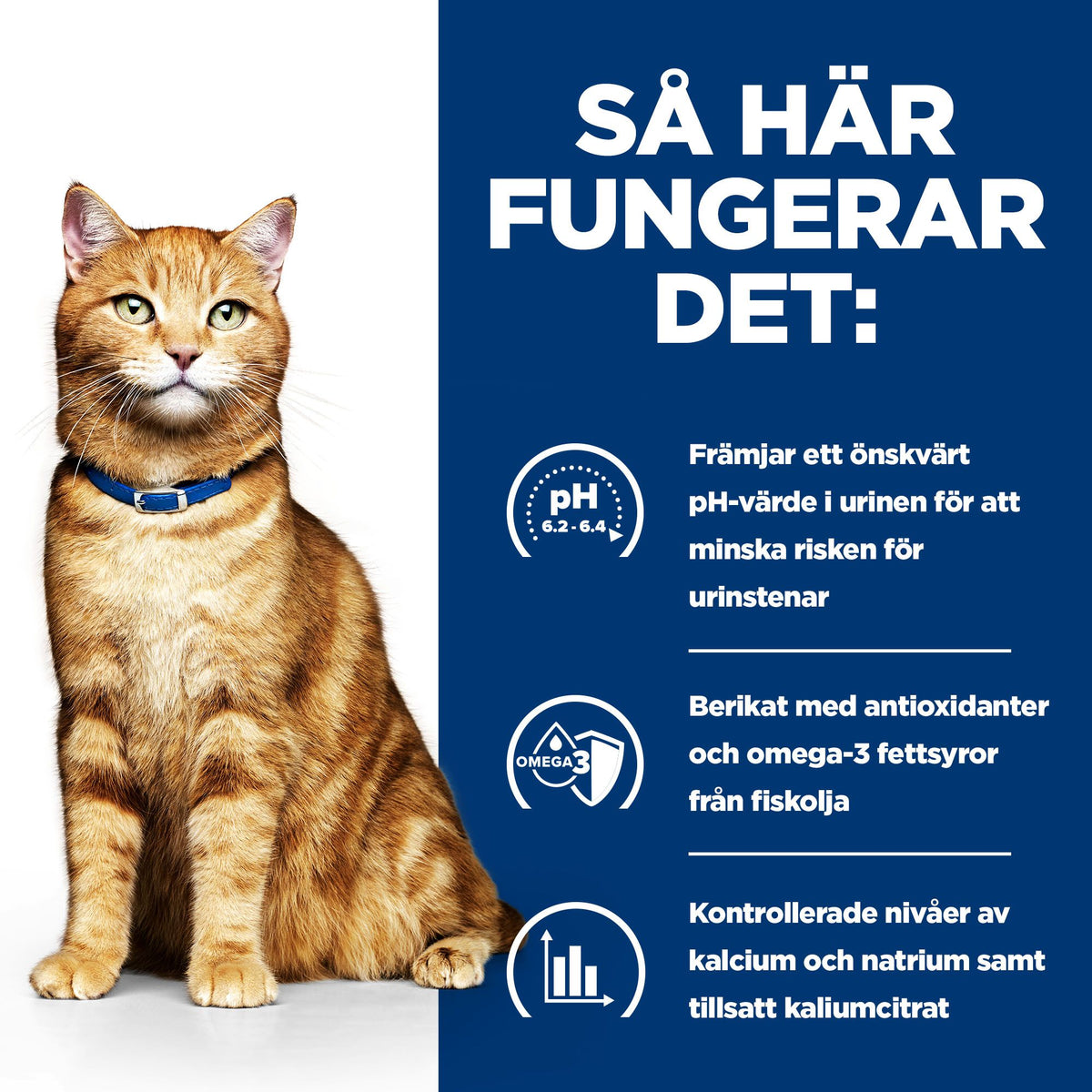 Hill's Prescription Diet c/d Multicare Adult Kattfoder Kyckling