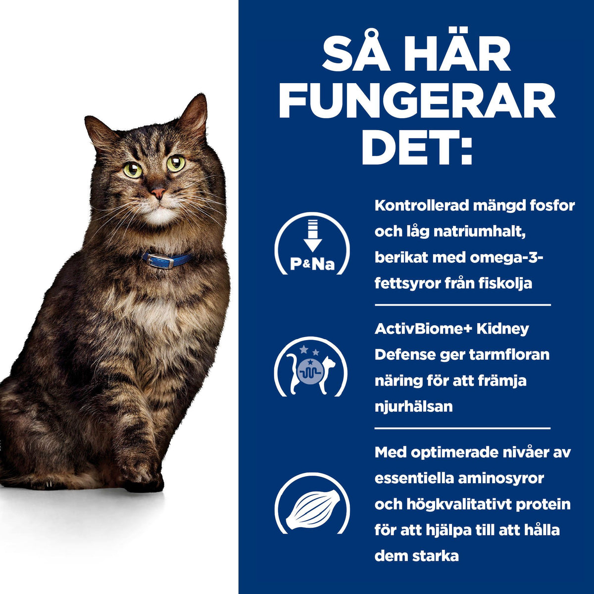 Hill's Prescription Diet k/d Early Stage Adult Kattfoder