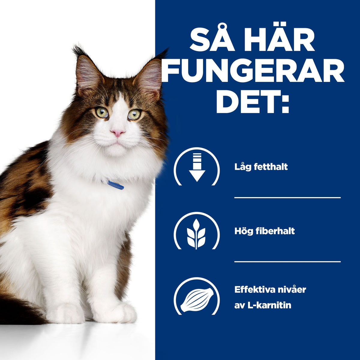 Hill's Prescription Diet w/d Adult Kattfoder Kyckling