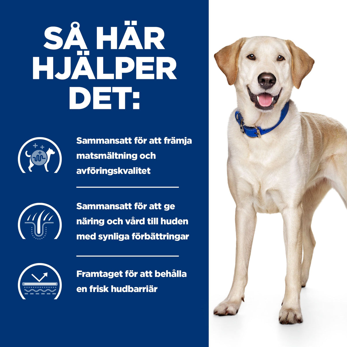 Hill's Prescription Diet d/d Adult Hundfoder Anka & Ris