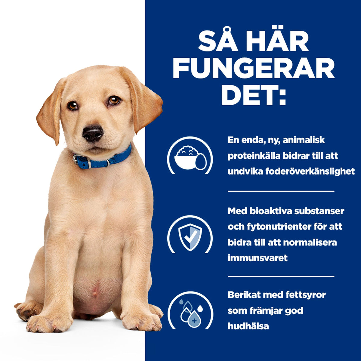 Hill's Prescription Diet Derm Complete valpfoder