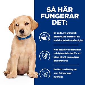 Hill's Prescription Diet Derm Complete valpfoder