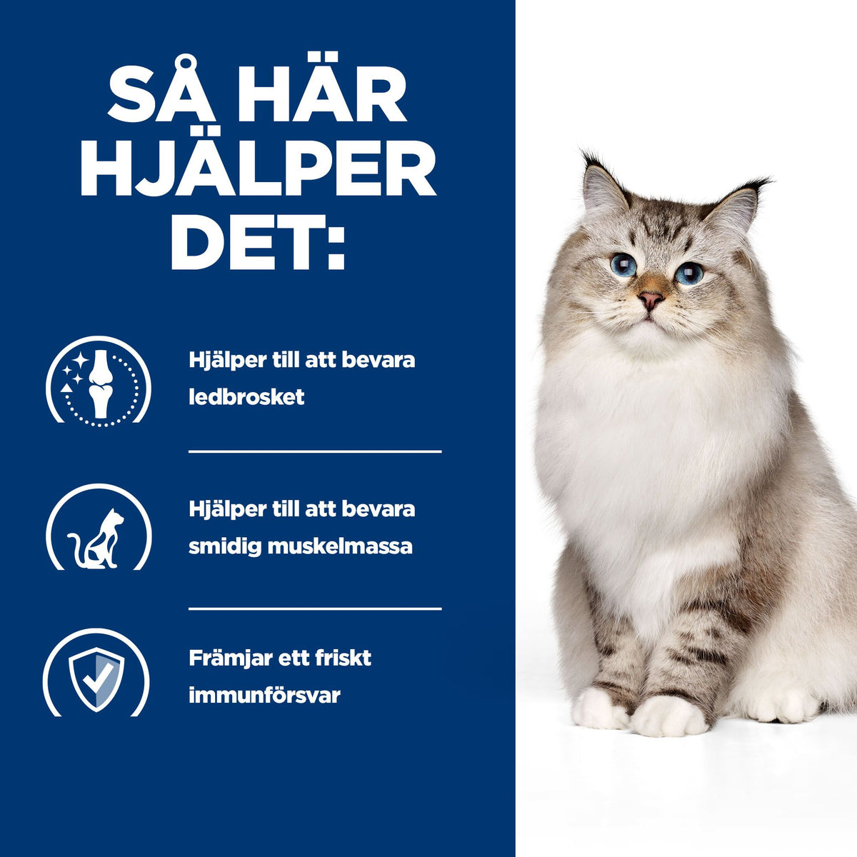 Hill's Prescription Diet j/d kattfoder med kyckling
