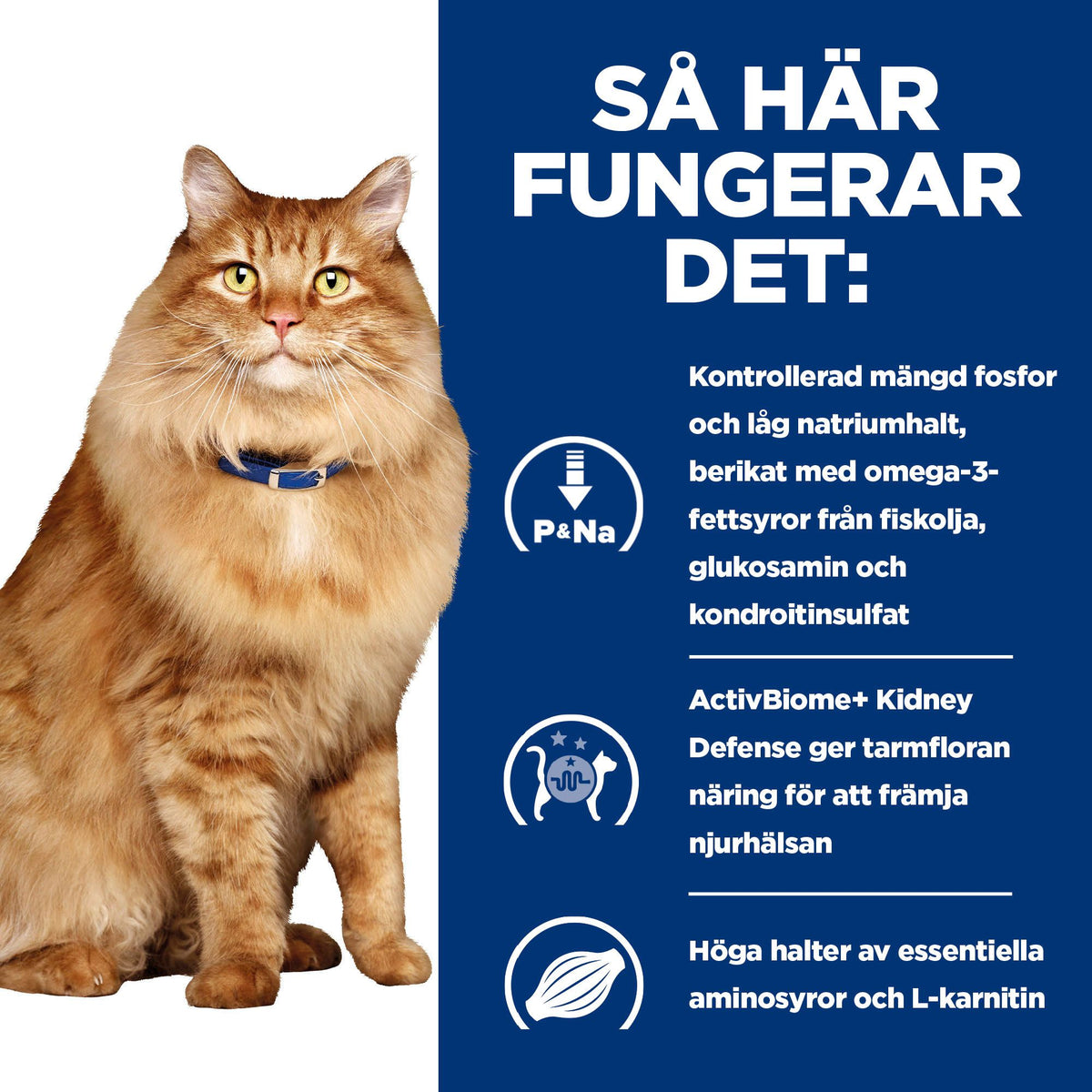 Hill's Prescription Diet k/d + Mobility kattfoder