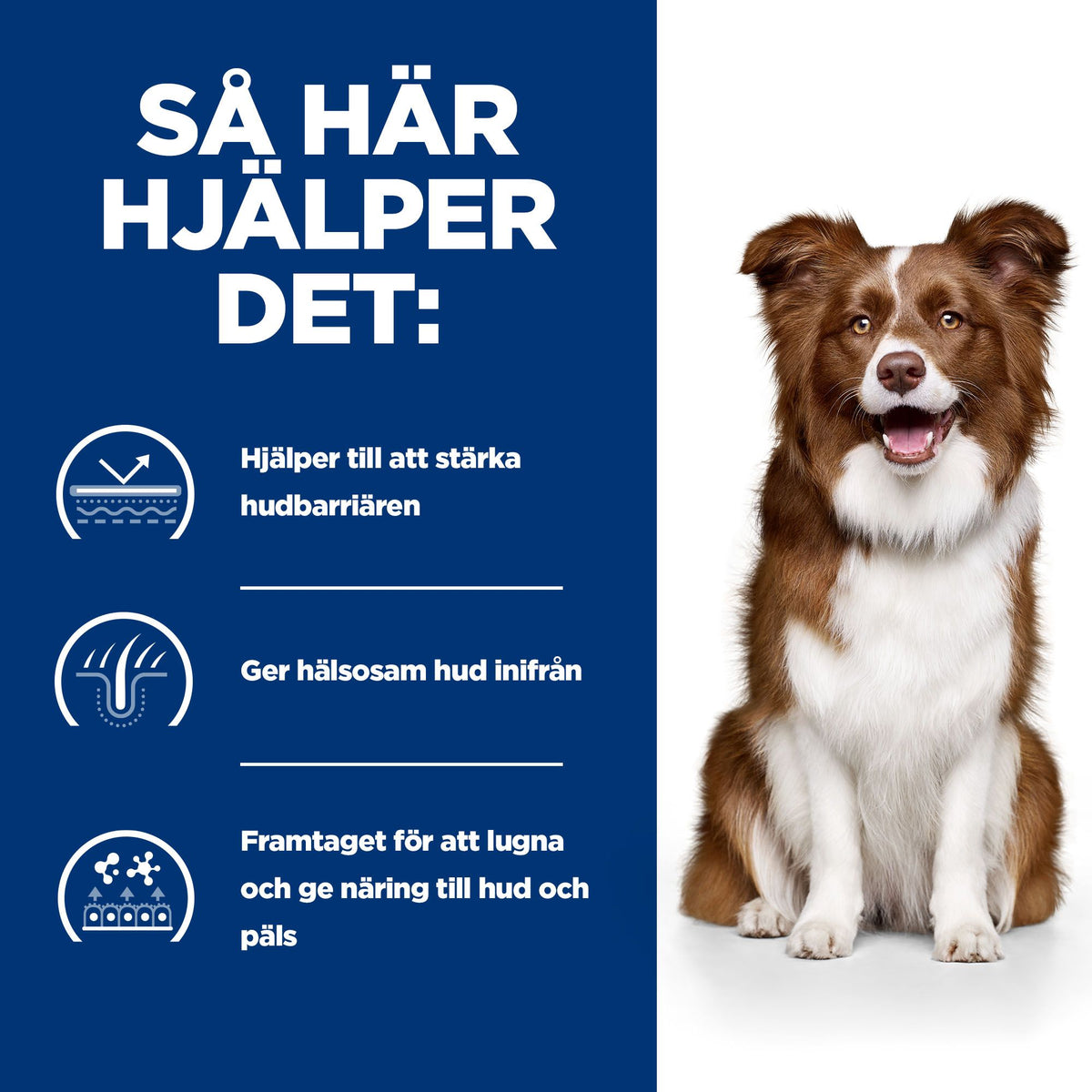 Hill's Prescription Diet Derm Defense Adult Medium Hundfoder