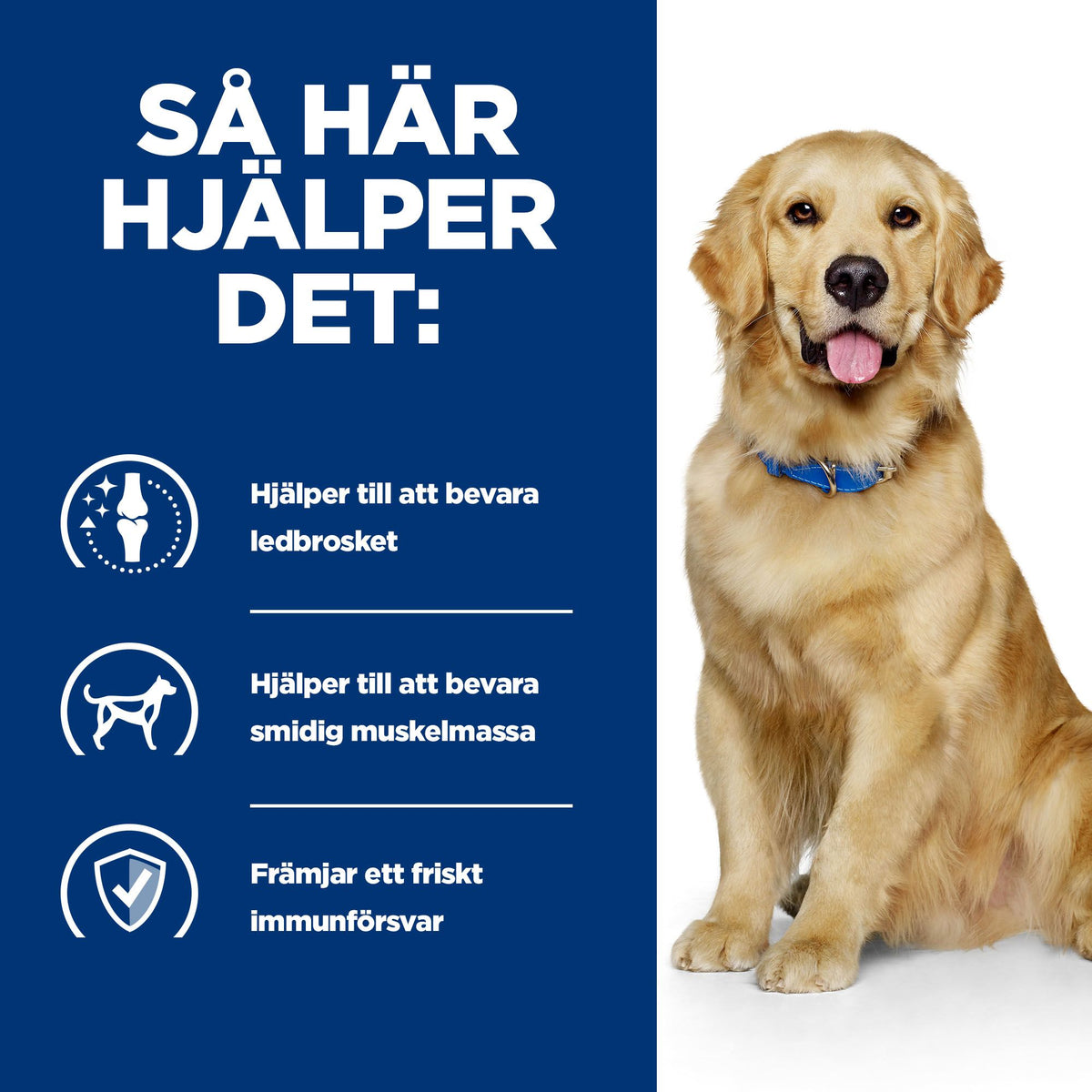 Hill's Prescription Diet j/d hundfoder med kyckling