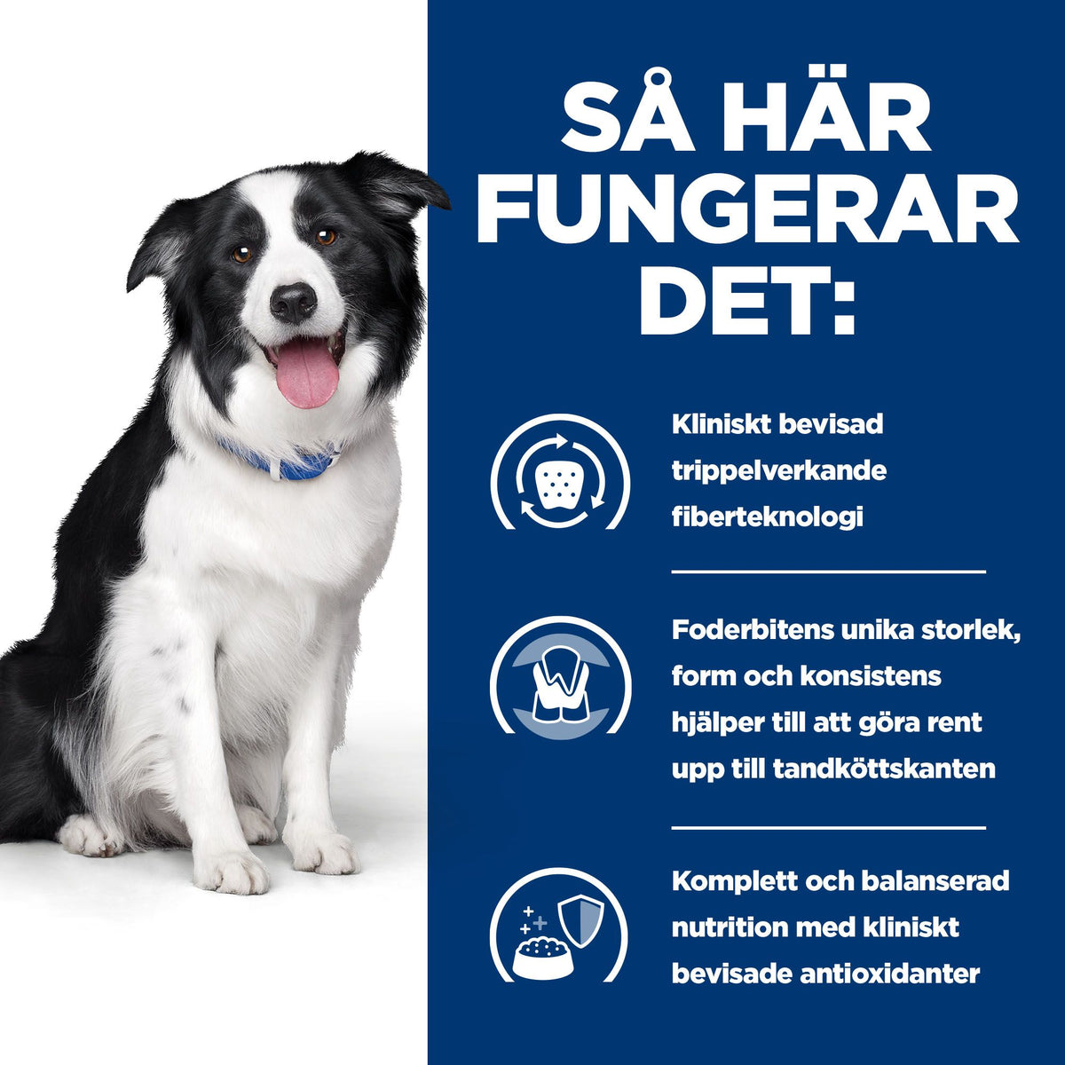 Hill's Prescription Diet t/d Adult Hundfoder