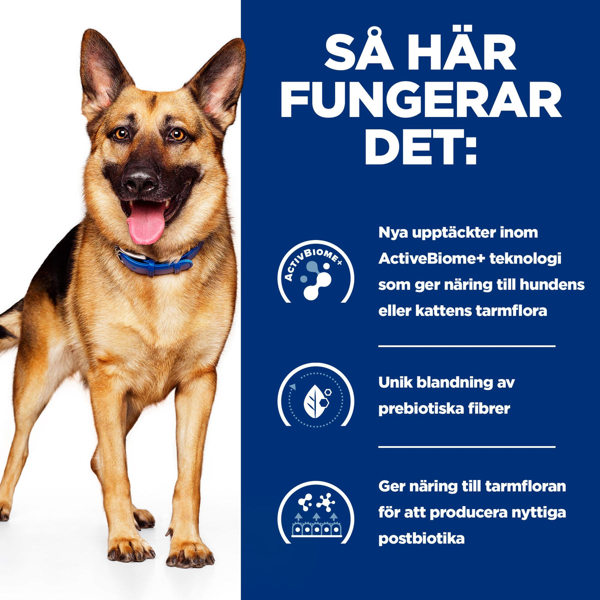 Hill's Prescription Diet Gastrointestinal Biome Adult Hundfoder